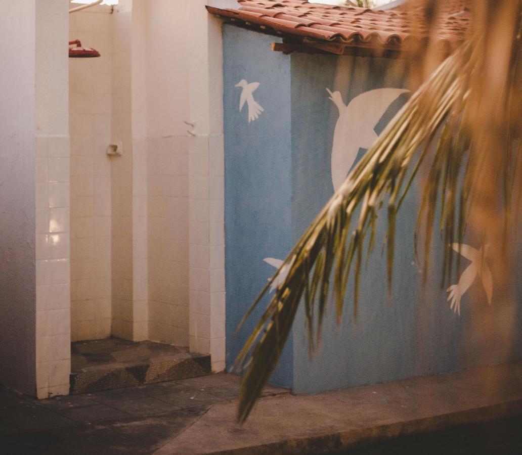 4 Quartos Ao Lado Da Praia Do Patacho Villa Porto de Pedras Luaran gambar